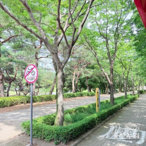 Exploring Ulsan Grand Park with Ulsan Carriage_22