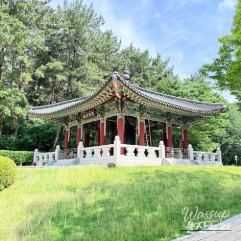 Exploring Ulsan Grand Park with Ulsan Carriage_24