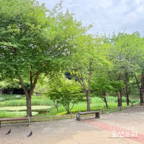 Exploring Ulsan Grand Park with Ulsan Carriage_03