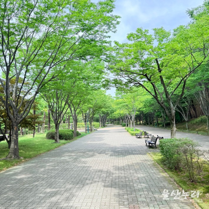 Exploring Ulsan Grand Park with Ulsan Carriage_11