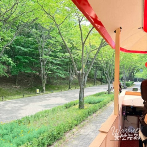 Exploring Ulsan Grand Park with Ulsan Carriage_17