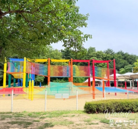 Exploring Ulsan Grand Park with Ulsan Carriage_14
