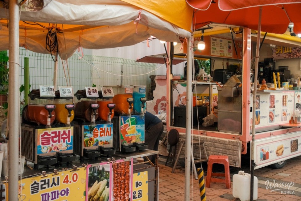 Gangju Sunflower Festival: A Summer Delight_07