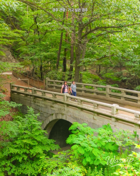 Discovering Yongdamjeong: A Healing Retreat in Gyeongju_07