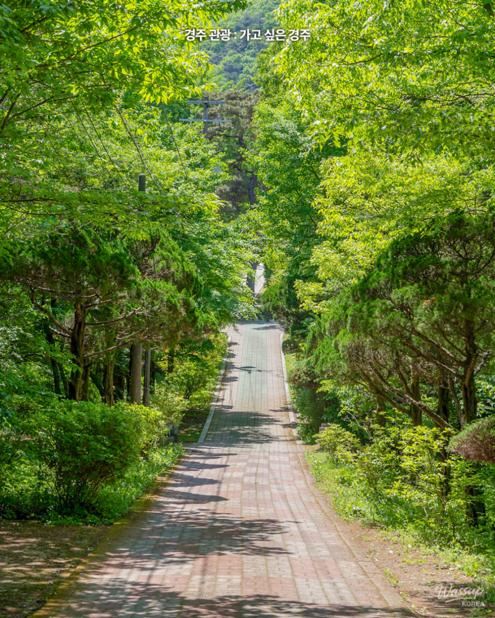 Discovering Yongdamjeong: A Healing Retreat in Gyeongju_03