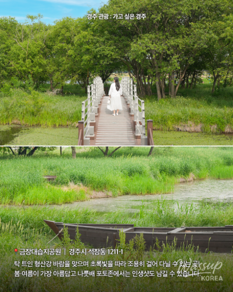 Exploring Gyeongju: Top Attractions You Can Enjoy on Foot_05