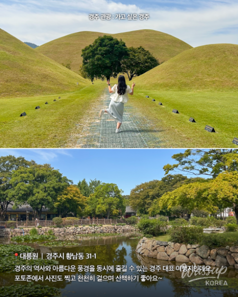 Exploring Gyeongju: Top Attractions You Can Enjoy on Foot_03