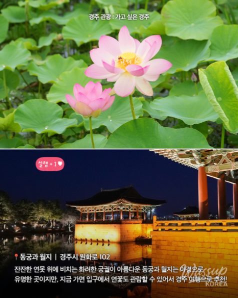 Exploring Gyeongju: Top Attractions You Can Enjoy on Foot_09