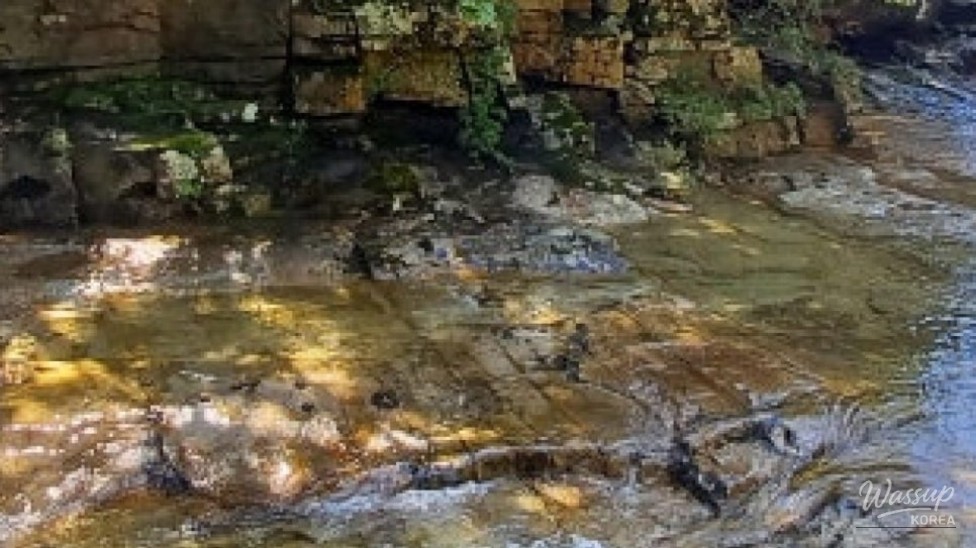Discover the Hidden Gem of Galon Valley in Geosan_05