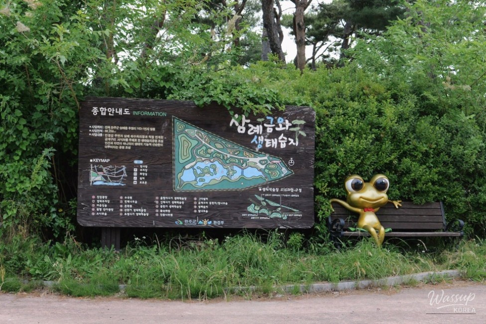 Exploring the Beauty of Geumwa Wetland Ecological Park_02