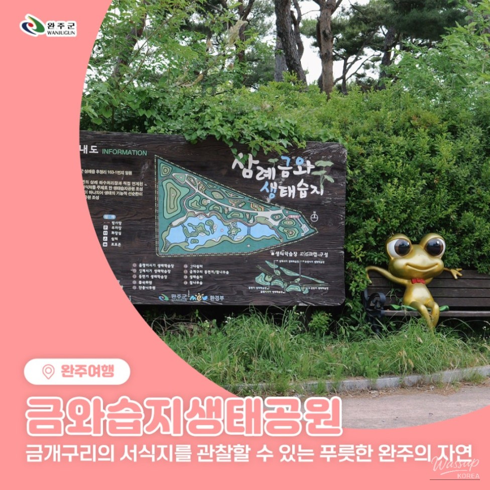 Exploring the Beauty of Geumwa Wetland Ecological Park_01