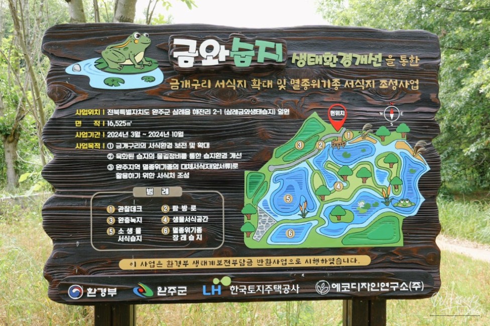 Exploring the Beauty of Geumwa Wetland Ecological Park_04