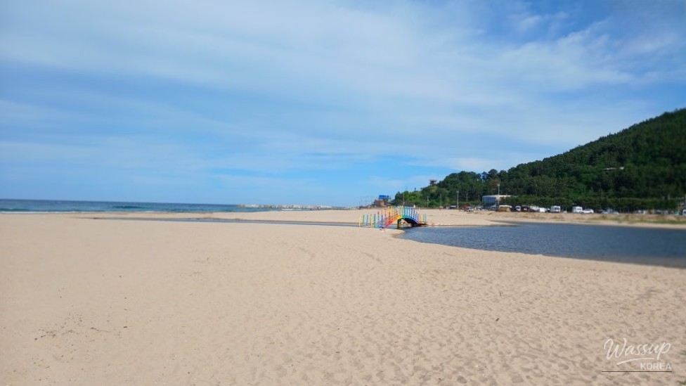 Discovering Daejin Beach: A Summer Paradise in Yeongdeok_12