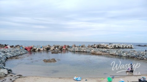 Discovering Daejin Beach: A Summer Paradise in Yeongdeok_07