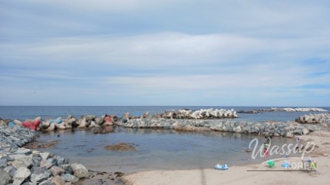 Discovering Daejin Beach: A Summer Paradise in Yeongdeok_06