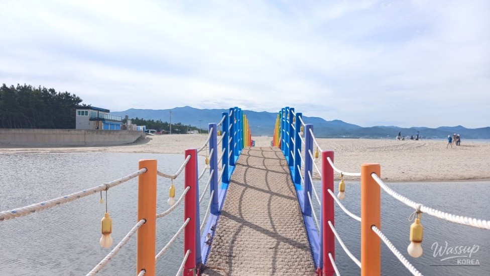 Discovering Daejin Beach: A Summer Paradise in Yeongdeok_13
