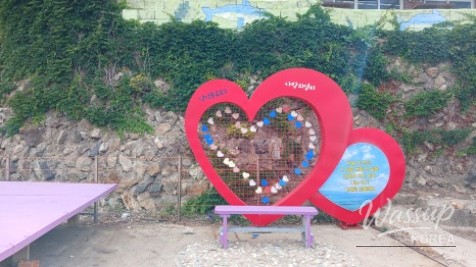 Discovering Daejin Beach: A Summer Paradise in Yeongdeok_17