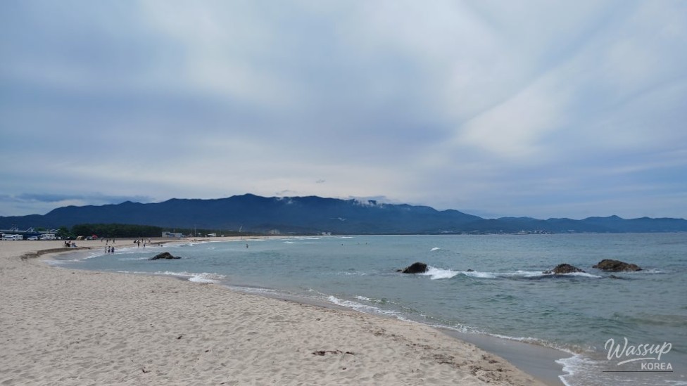 Discovering Daejin Beach: A Summer Paradise in Yeongdeok_05