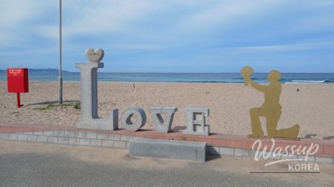 Discovering Daejin Beach: A Summer Paradise in Yeongdeok_16