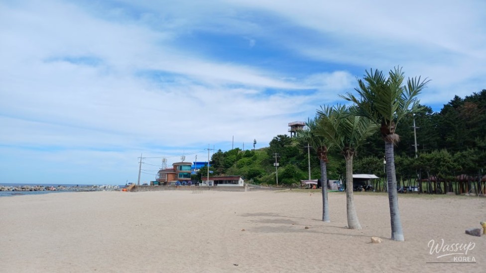 Discovering Daejin Beach: A Summer Paradise in Yeongdeok_04