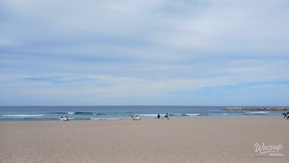 Discovering Daejin Beach: A Summer Paradise in Yeongdeok_01