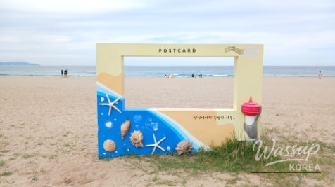 Discovering Daejin Beach: A Summer Paradise in Yeongdeok_02