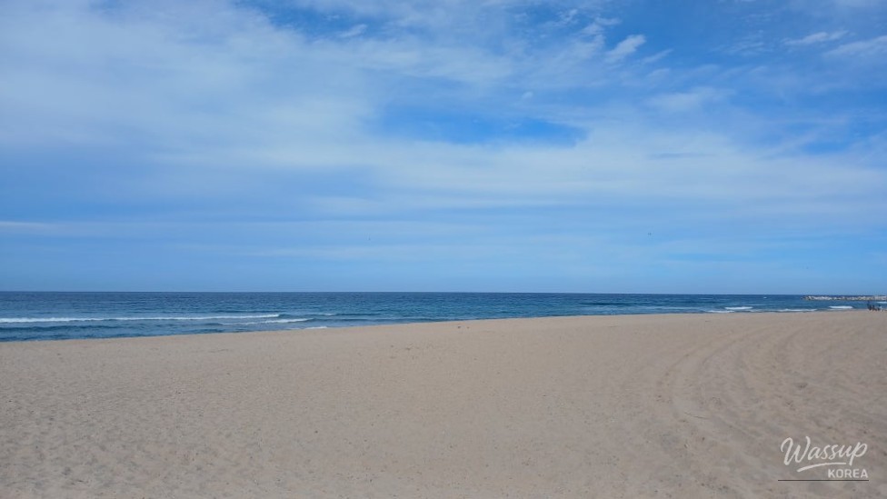 Discovering Daejin Beach: A Summer Paradise in Yeongdeok_19