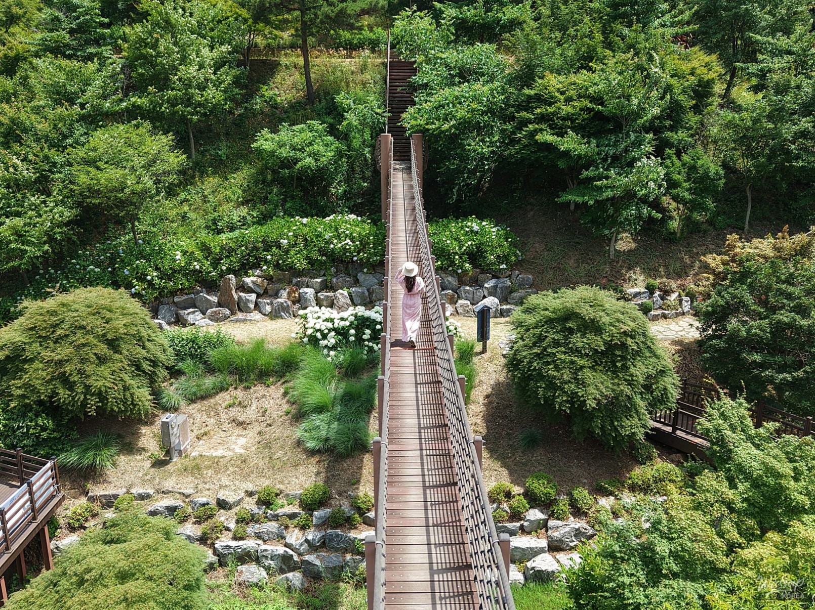 Summer in Dangjin: A Vibrant Experience at Samsun Mountain Arboretum_06