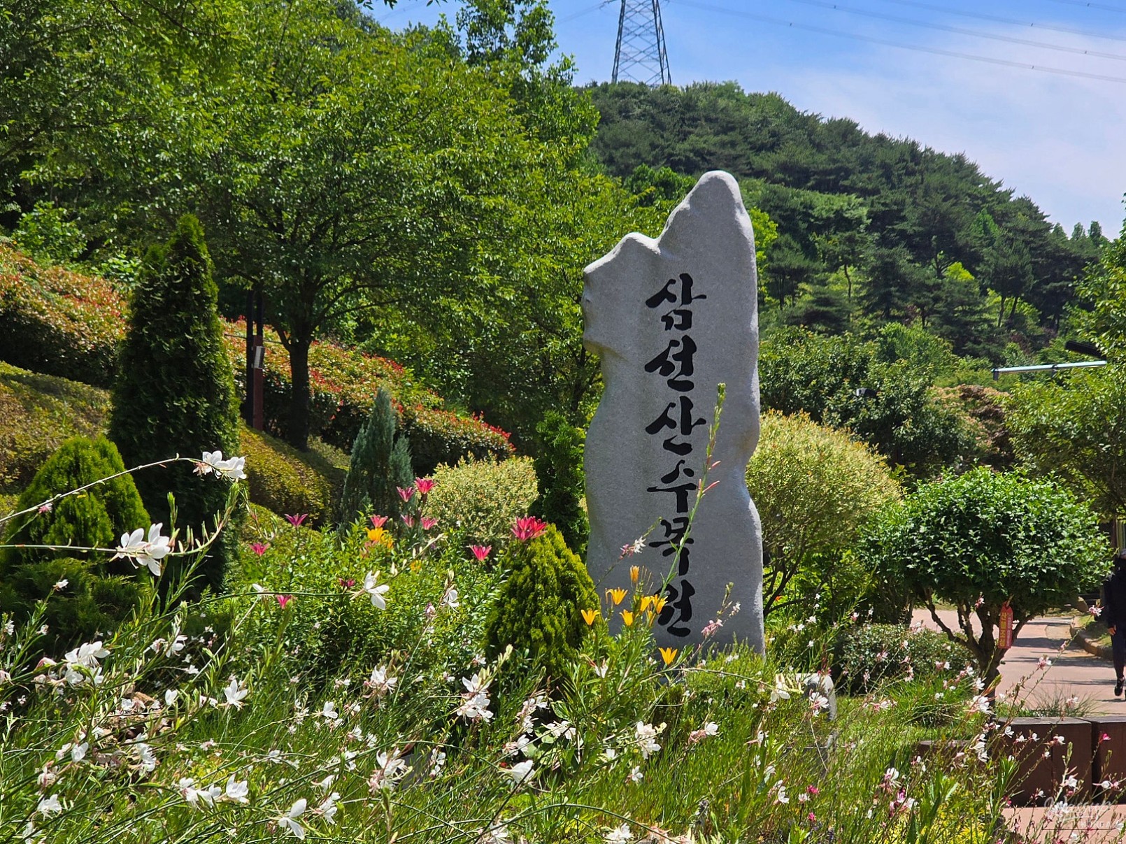 Summer in Dangjin: A Vibrant Experience at Samsun Mountain Arboretum_07