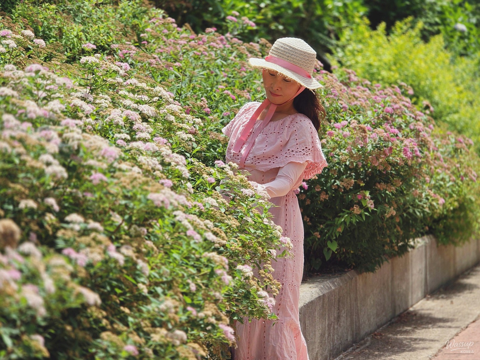 Summer in Dangjin: A Vibrant Experience at Samsun Mountain Arboretum_03