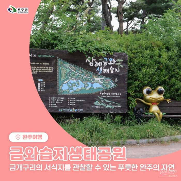 Exploring the Beauty of Geumwa Wetland Ecological Park434