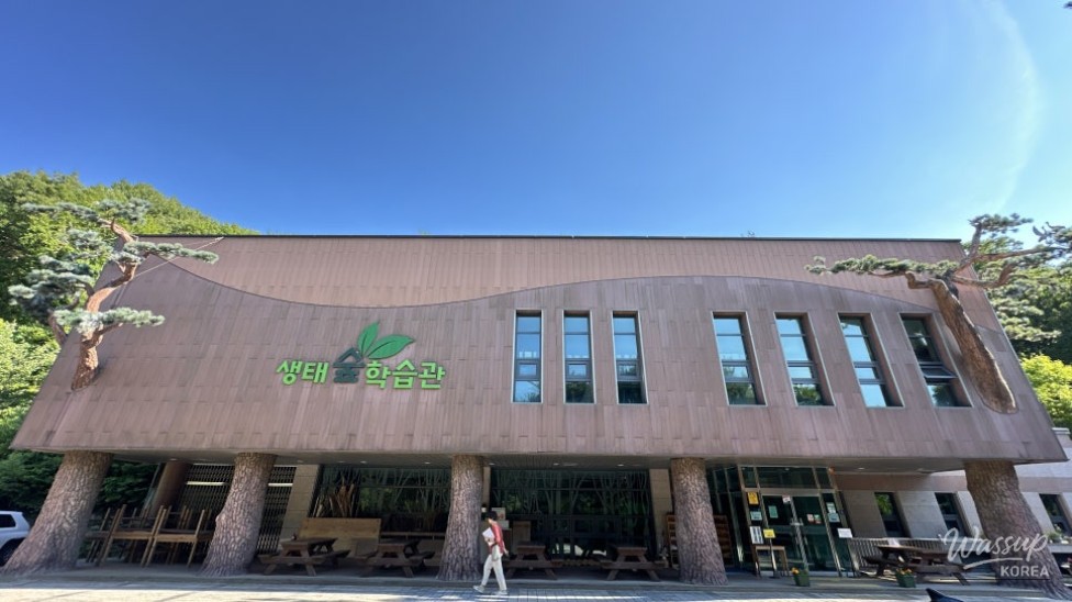 Exploring the Beauty of Seongbulsan Natural Recreation Forest_12