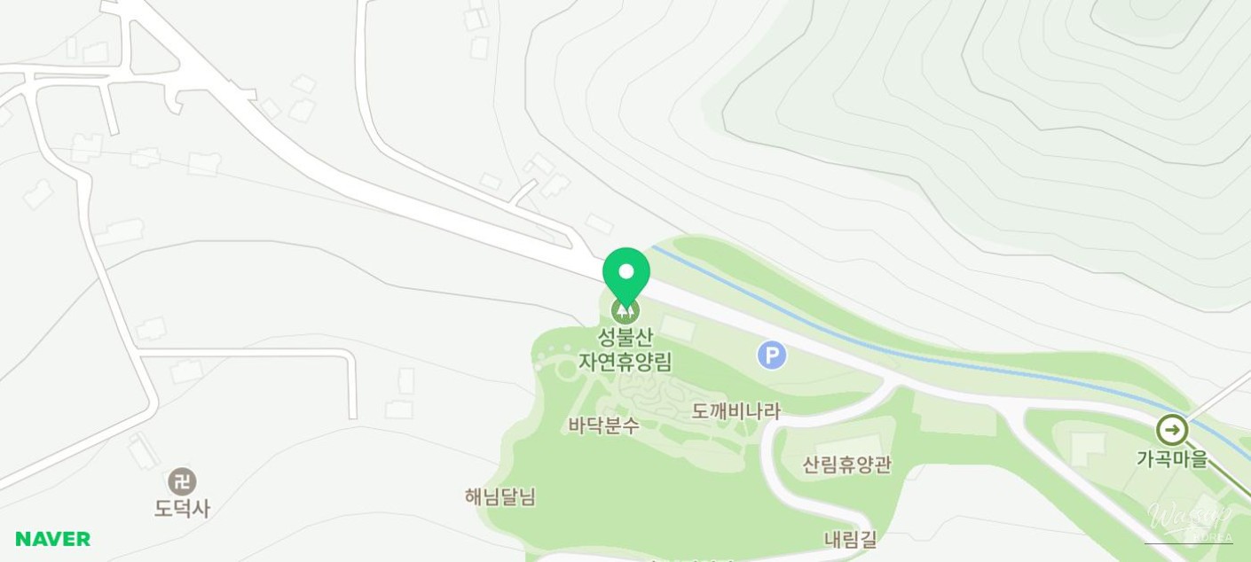Exploring the Beauty of Seongbulsan Natural Recreation Forest_14