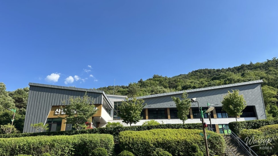 Exploring the Beauty of Seongbulsan Natural Recreation Forest_02