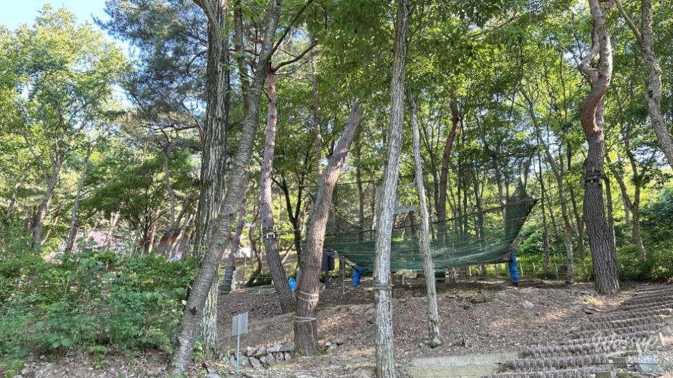 Exploring the Beauty of Seongbulsan Natural Recreation Forest_10