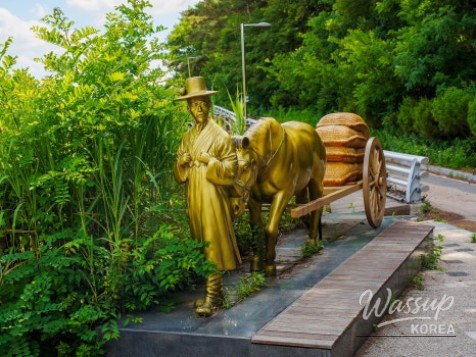 Refreshing Retreat at Changneungcheon Solnaemunuri Trail_05