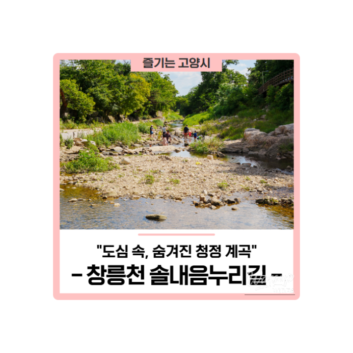 Refreshing Retreat at Changneungcheon Solnaemunuri Trail_01