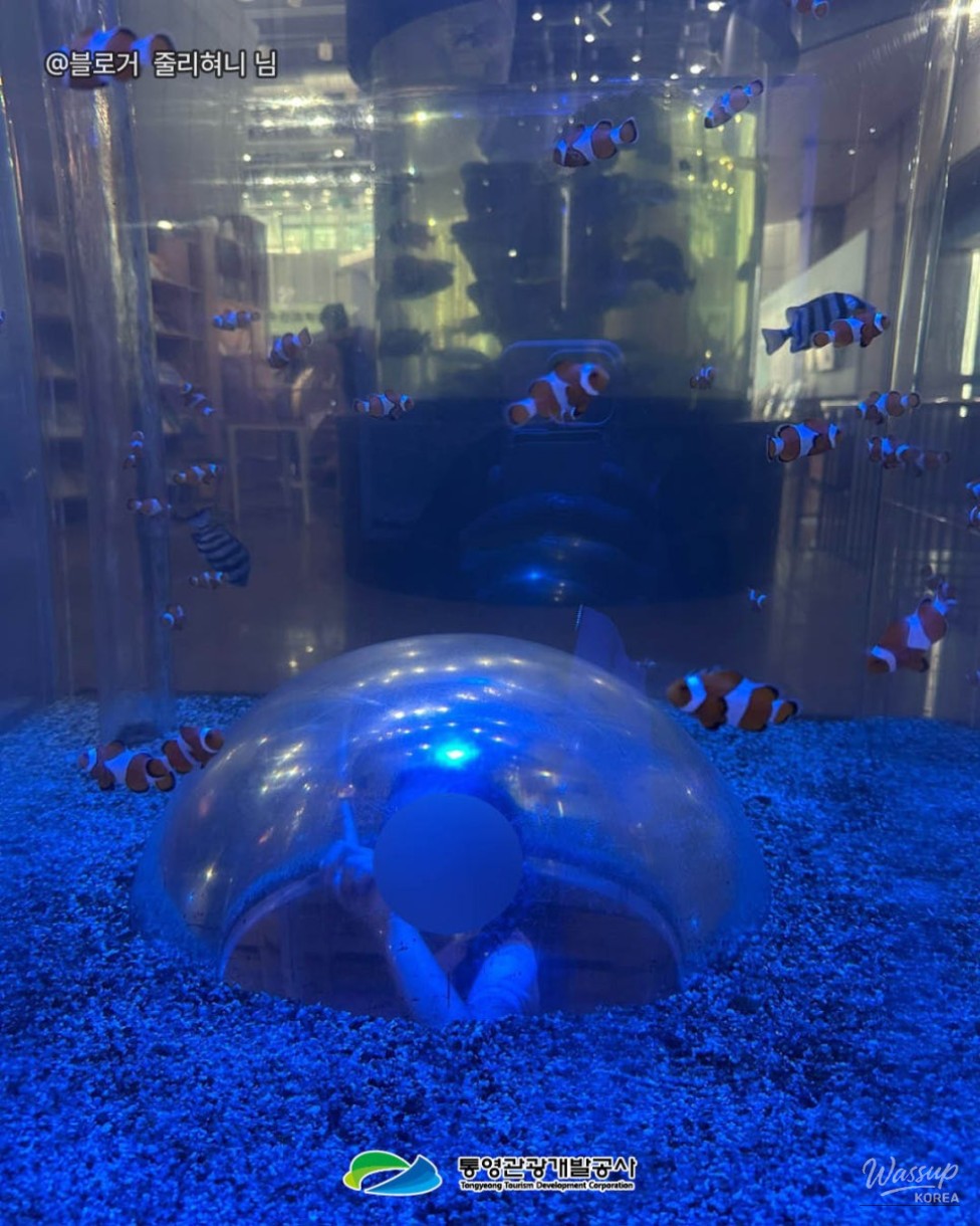 Explore Tongyeong Fisheries Science Museum with Your Family_08