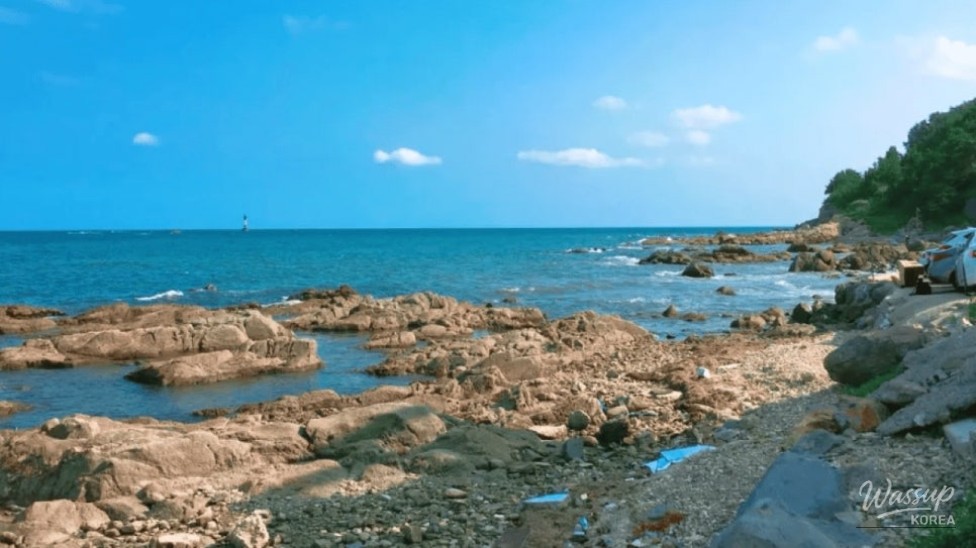 Discovering Busan's Beaches: A Perfect Summer Getaway_03