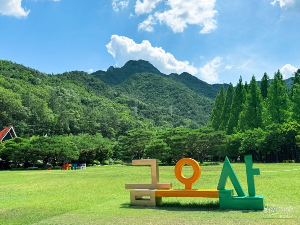 Discovering the Eco-Healing Forest at Geumo Mountain_01