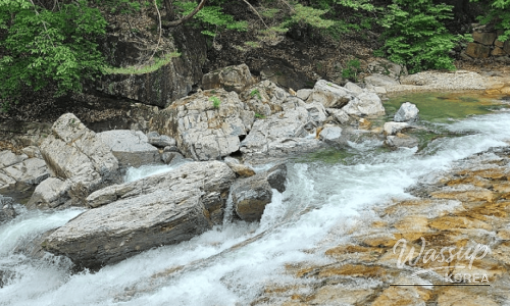Exploring the Bugnae Pilgrimage Trail: A Tranquil Escape in South Korea_07