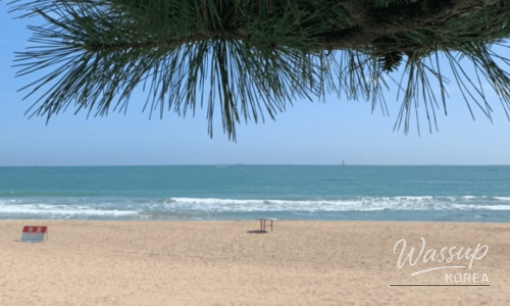 Exploring the Bugnae Pilgrimage Trail: A Tranquil Escape in South Korea_08