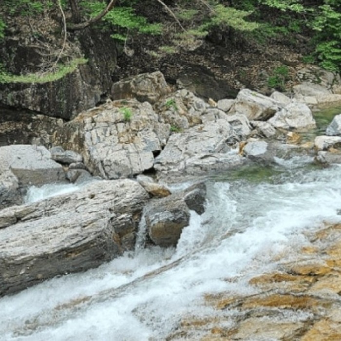 Discover the Hidden Gems of Naewonsa Valley: A Refreshing Summer Retreat4507