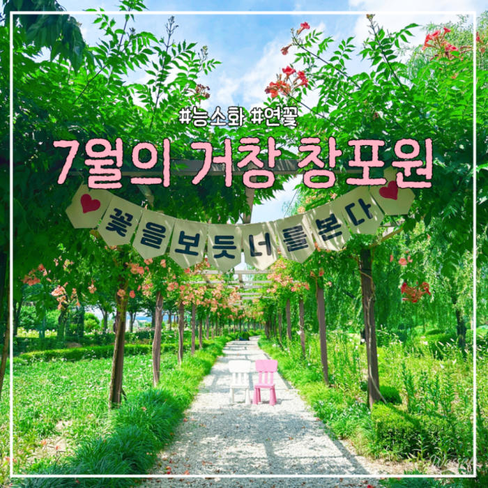Exploring the Beauty of Geochang Changpo Garden4499