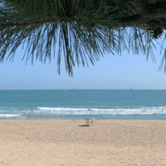 Discovering Busan's Beaches: A Perfect Summer Getaway4505