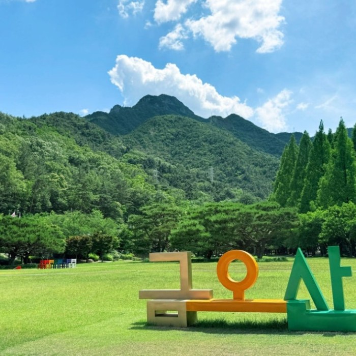 Discovering the Eco-Healing Forest at Geumo Mountain2132