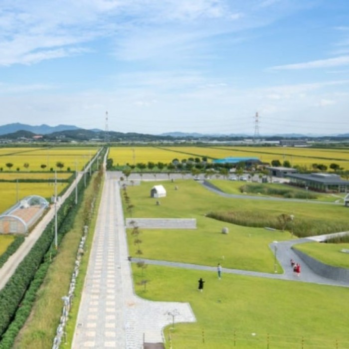 Exploring the Bugnae Pilgrimage Trail: A Tranquil Escape in South Korea4501