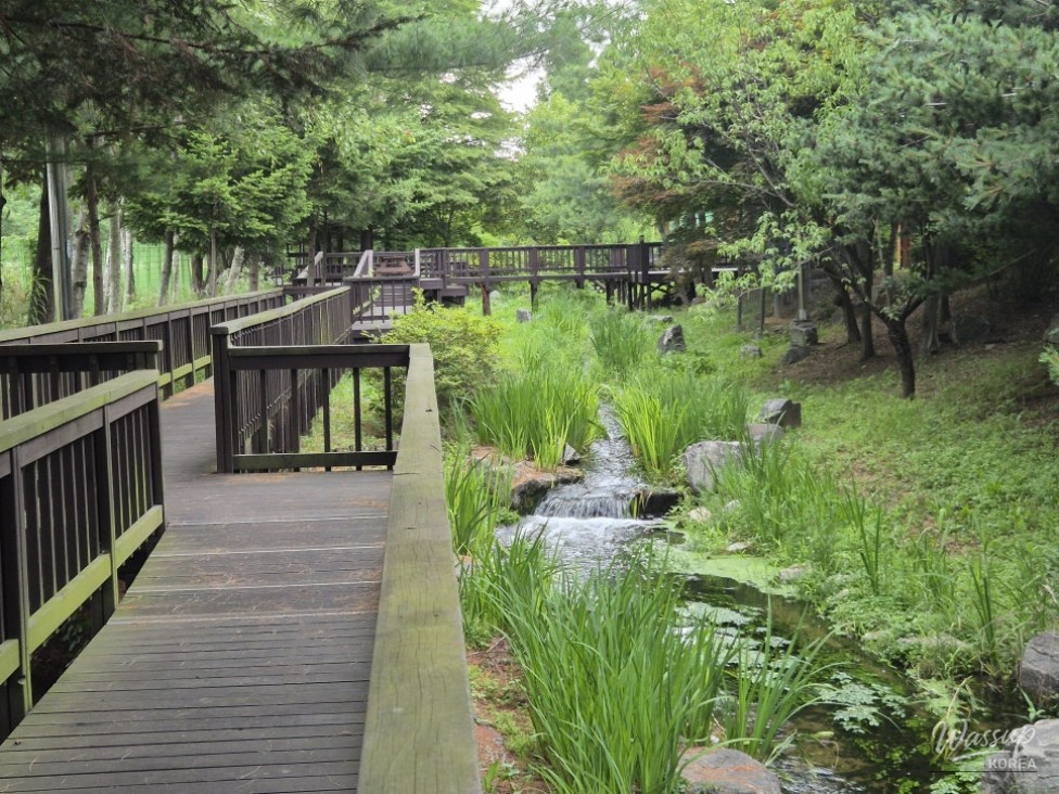 Exploring the Eco-Friendly Nam-Bu Water Resource Ecological Park_09