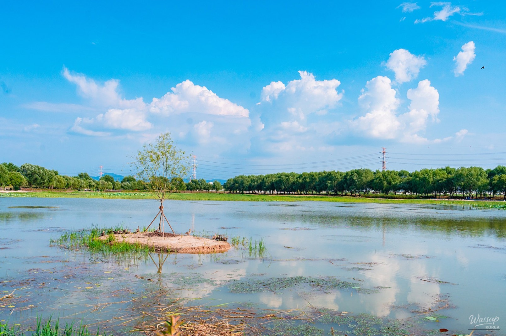The Beauty of Haddukje and the Upcoming Lotus Festival_04