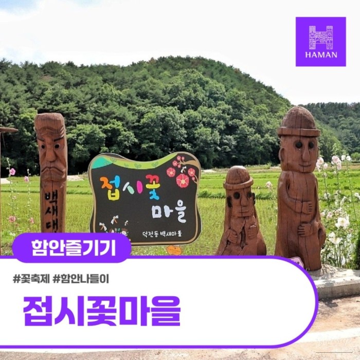 Exploring the Hidden Beauty of Jeopsik Flower Village2142
